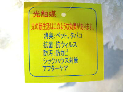 光触媒タグ