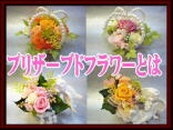 �v���U�[�u�h�t�����[�Ƃ�